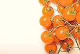 photo: You can buy Sunsugar Hybrid - Tomato Seeds online, best price $6.99 new 2024-2023 bestseller, review