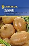 foto: jetzt Zwiebelsamen - Zwiebeln Stuttgarter Riesen von Kiepenkerl Online, bester Preis 2,29 € neu 2024-2023 Bestseller, Rezension