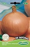 foto: comprar Germisem de Setúbal Semillas de Cebolla 3 g (EC1005) on-line, mejor precio 2,70 € nuevo 2024-2023 éxito de ventas, revisión