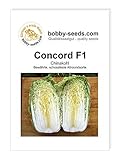 foto: jetzt Kohlsamen Concord F1 Chinakohl Portion Online, bester Preis 1,75 € neu 2024-2023 Bestseller, Rezension