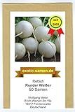 foto: jetzt Rettich - Runder Weißer (50 Samen) Online, bester Preis 1,80 € neu 2024-2023 Bestseller, Rezension