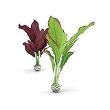 photo: You can buy biOrb Silk Plant Set Medium Green & Purple online, best price $16.79 new 2024-2023 bestseller, review