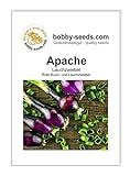foto: jetzt Zwiebelsamen Apache rote Lauchzwiebel Portion Online, bester Preis 1,75 € neu 2024-2023 Bestseller, Rezension