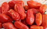 photo: You can buy 40+ San Marzano Tomato Seeds- Italian Heirloom Variety- Ohio Heirloom Seeds online, best price $4.49 new 2024-2023 bestseller, review