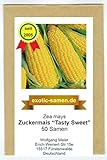 foto: jetzt Zuckermais - Mais -Tasty Sweet F1 Hybride - sehr süß - früh reifend - 50 Samen Online, bester Preis 2,49 € neu 2024-2023 Bestseller, Rezension