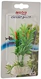 foto: comprar Amtra A8011252 Planta Clásica Egeria Flowers Bicolor, S (5 x 10 cm) on-line, mejor precio 1,93 € nuevo 2024-2023 éxito de ventas, revisión