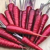 photo: You can buy Purple Dragon Carrot Seeds ► Non-GMO Purple Dragon Carrot Seeds (350+ Seeds) ◄ by PowerGrow Systems online, best price $1.89 new 2024-2023 bestseller, review