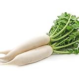 photo: You can buy David's Garden Seeds Radish White Icicle 1243 (White) 200 Non-GMO, Heirloom Seeds online, best price $3.45 new 2024-2023 bestseller, review