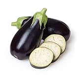 photo: You can buy Eggplant Seeds for Planting Home Garden - Container Vegetable Garden - Black Beauty Eggplant online, best price $5.98 new 2024-2023 bestseller, review