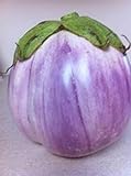 photo: You can buy Rosa Bianca Eggplant Seeds- Heirloom- 100+ Seeds online, best price $2.99 new 2024-2023 bestseller, review