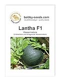 foto: jetzt Melonensamen Lantha F1 Wassermelone Portion Online, bester Preis 2,75 € neu 2024-2023 Bestseller, Rezension
