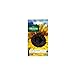 foto Vilmorin - Paquete semillas Sol girasol flor gigante 2024-2023