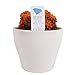 photo Costa Farms, Premium Live Indoor Desert Gems Orange Cacti, Tabletop Plant, White Gloss Euro Ceramic Decorator Pot, Shipped Fresh From Our Farm, Excellent Gift 2024-2023
