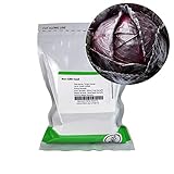 photo: You can buy Red Acre Cabbage Seeds: 1 Lb - Non-GMO, Chemical Free Sprouting Seeds for Vegetable Garden & Growing Micro Greens online, best price $31.39 ($1.96 / Ounce) new 2024-2023 bestseller, review