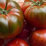foto: jetzt Tomate Muchamiel 25 x Samen aus Portugal 100% natürlich Aufzucht/absolute Rarität/Massenträger (Muchamiel) Online, bester Preis 2,99 € neu 2024-2023 Bestseller, Rezension