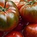 foto Tomate Muchamiel 25 x Samen aus Portugal 100% natürlich Aufzucht/absolute Rarität/Massenträger (Muchamiel) 2024-2023