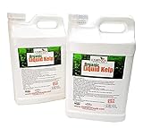 photo: You can buy Kelp Fertilizer by GS Plant Foods (5 Gallon) - Organic Liquid Fertilizer for Gardens, Lawns & Soil - Liquid Kelp Concentrate online, best price $149.95 new 2024-2023 bestseller, review