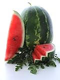 photo: You can buy Cal Sweet Supreme Watermelon Seeds, 125 Heirloom Seeds Per Packet, Non GMO Seeds, High Germination & Purity, Botanical Name: Citrullus lanatus, Isla's Garden Seeds online, best price $5.79 ($0.05 / Count) new 2024-2023 bestseller, review