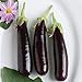 photo David's Garden Seeds Eggplant Hansel (Purple) 25 Non-GMO, Hybrid Seeds 2024-2023