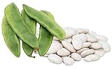 photo: You can buy Henderson Lima Beans, 50 Seeds Per Packet, Non GMO Heirloom Seeds, High Germination & Purity, Botanical Name: Phaseolus lunatus, Isla's Garden Seeds online, best price $5.99 ($0.12 / Count) new 2024-2023 bestseller, review