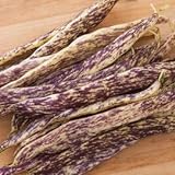photo: You can buy Dragon Tongue Bush Bean Seeds - Packet of 20 Seeds online, best price $7.97 ($0.40 / Count) new 2024-2023 bestseller, review