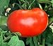 photo 110+ Big Boy Organic NON-GMO Tomato Seeds - My Secret Garden - UPC742137106032 2024-2023