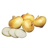 photo: You can buy Burpee Granex Yellow Onion Seeds 450 seeds online, best price $6.57 new 2024-2023 bestseller, review