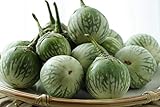 photo: You can buy Thai Round Green Eggplant Seeds (25+ Seeds)(More Heirloom, Organic, Non GMO, Vegetable, Fruit, Herb, Flower Garden Seeds (25+ Seeds) at Seed King Express) online, best price $4.69 new 2024-2023 bestseller, review