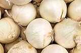 photo: You can buy 250 Early White Grano PRR Onion Seeds | Non-GMO | Heirloom | Instant Latch Garden Seeds online, best price $5.95 new 2024-2023 bestseller, review