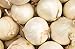 photo 250 Early White Grano PRR Onion Seeds | Non-GMO | Heirloom | Instant Latch Garden Seeds 2024-2023