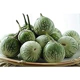 photo: You can buy Thai Round Green Eggplant Seeds (40 Seed Pack) online, best price $4.69 new 2024-2023 bestseller, review