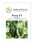 foto: jetzt Pony F1 Snackgurkensamen von bobby-seeds Portion Online, bester Preis 4,69 € neu 2024-2023 Bestseller, Rezension