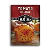 photo: You can buy Survival Garden Seeds - Hillbilly Tomato Seed for Planting - Packet with Instructions to Plant and Grow Uniquely Colored Potato Leaf Tomatoes in Your Home Vegetable Garden - Non-GMO Heirloom Variety online, best price $4.99 new 2024-2023 bestseller, review