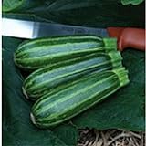 photo: You can buy Bush Baby Squash Seeds (25 Seed Packet) (More Heirloom, Organic, Non GMO, Vegetable, Fruit, Herb, Flower Garden Seeds at Seed King Express) online, best price $4.79 new 2024-2023 bestseller, review