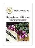foto: jetzt Zwiebelsamen Rossa Lunga di Firenze Lauchzwiebel Portion Online, bester Preis 1,75 € neu 2024-2023 Bestseller, Rezension