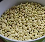 photo: You can buy David's Garden Seeds Southern Pea (Cowpea) Texas Cream 8 4435 (Tan) 100 Non-GMO, Open Pollinated Seeds online, best price $3.45 new 2024-2023 bestseller, review