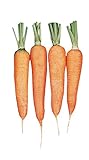 photo: You can buy Burpee Touchon Carrot Seeds 3500 seeds online, best price $6.57 new 2024-2023 bestseller, review