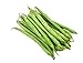 photo Burpee Stringless Green Bean Seeds, 50 Heirloom Seeds Per Packet, Non GMO Seeds, (Isla's Garden Seeds), Botanical Name: Phaseolus vulgaris, 85% Germination Rates 2024-2023