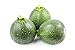 photo Round Zucchini Summer Squash Seeds, aka: Eight Ball Zucchini, 40 Heirloom Seeds Per Packet, Non GMO Seeds, Botanical Name: Cucurbirta pepo, Isla's Garden Seeds 2024-2023