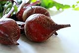 photo: You can buy Beet Seeds- Detroit Dark Red- 100+ Seeds online, best price $4.49 new 2024-2023 bestseller, review