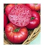 photo: You can buy 75+ Mortgage Lifter Tomato Seeds- Heirloom Variety- by Ohio Heirloom Seeds online, best price $5.79 new 2024-2023 bestseller, review