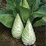 photo: You can buy Caraflex Cabbage Seeds (20+ Seeds) | Non GMO | Vegetable Fruit Herb Flower Seeds for Planting | Home Garden Greenhouse Pack online, best price $3.69 ($0.18 / Count) new 2024-2023 bestseller, review
