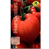 foto: comprar Tomate Corazón de Buey 12x19 cm Mascarell Semillas on-line, mejor precio 4,90 € nuevo 2024-2023 éxito de ventas, revisión