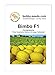 foto Melonensamen Bimbo F1 Kanarische Honigmelone Portion 2024-2023