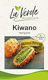 foto: jetzt Kiwano Gurkensamen Online, bester Preis 3,25 € neu 2024-2023 Bestseller, Rezension