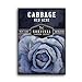 photo Survival Garden Seeds - Red Acre Cabbage Seed for Planting - Packet with Instructions to Plant and Grow Purple Cabbages in Your Home Vegetable Garden - Non-GMO Heirloom Variety 2024-2023