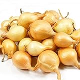 photo: You can buy 8 Ounces Yellow Onion Sets Sweet Onions Bulb Seed Set Perennial Garden Vegetable Green Plant Bulbs Seeds Permaculture online, best price $9.95 new 2024-2023 bestseller, review