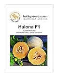 foto: jetzt Melonensamen Halona F1 Zuckermelone Portion Online, bester Preis 2,30 € neu 2024-2023 Bestseller, Rezension