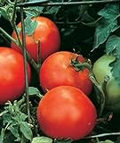 photo: You can buy Burpee Celebrity' Hybrid | Slicing Red Tomato | Disease-Resistant, 35 Seeds online, best price $7.17 ($0.20 / Count) new 2024-2023 bestseller, review