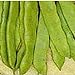 photo Romano Pole Beans Seeds (20+ Seeds) | Non GMO | Vegetable Fruit Herb Flower Seeds for Planting | Home Garden Greenhouse Pack 2024-2023